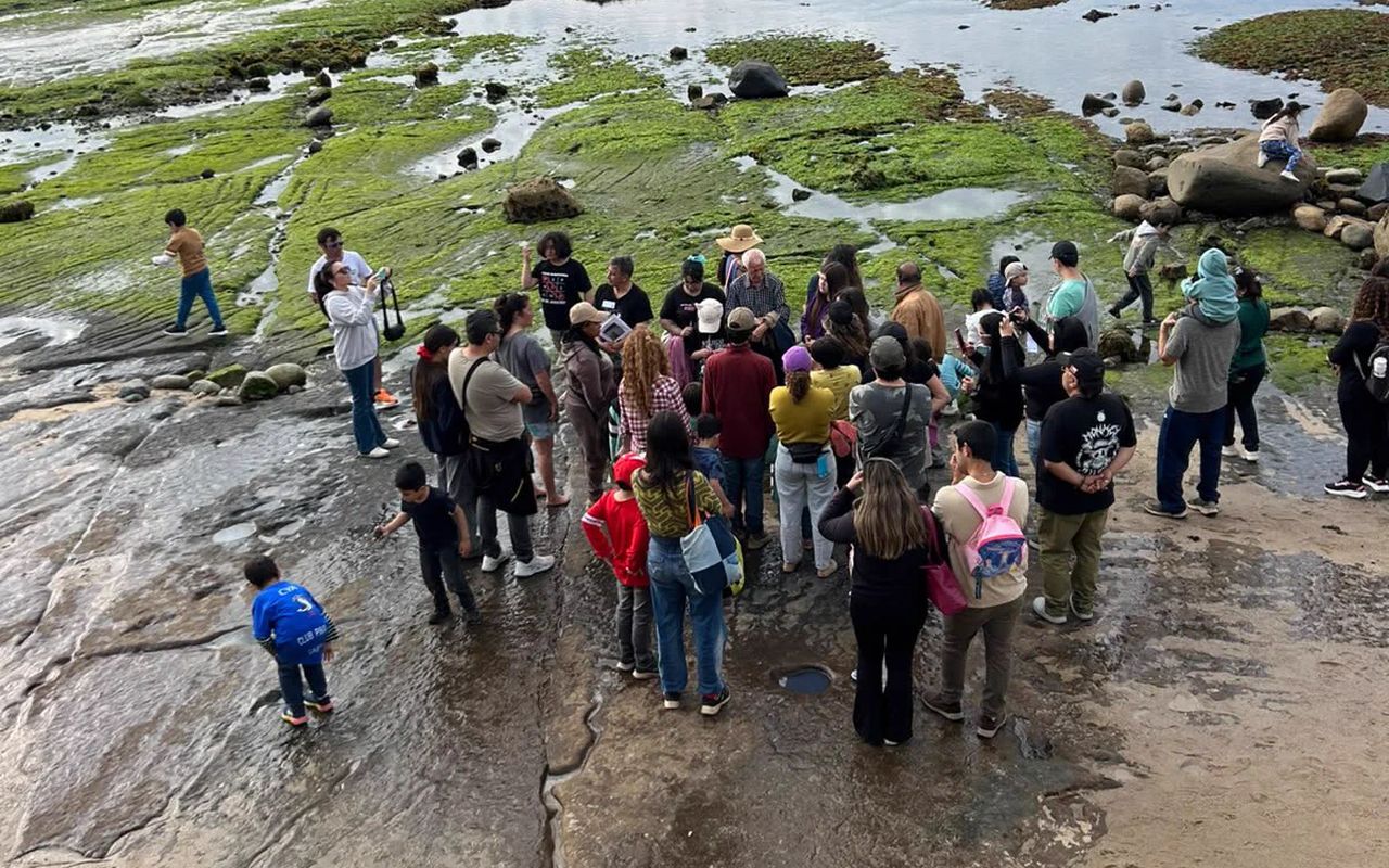 Grupo de visitantes en una visita guiada sobre la plataforma rocosa, con marea baja