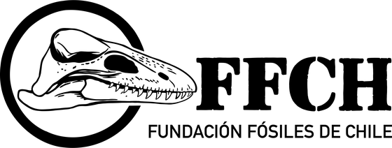 Fundación Fósiles de Chile (FFCH)