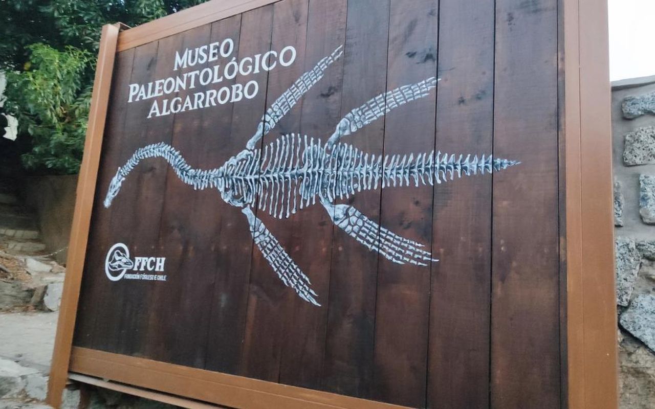 Letrero de madera del Museo Paleontológico de Algarrobo, con la ilustración de un esqueleto marino y el logo de la FFCH